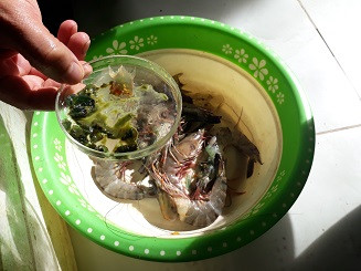 Thu giữ lượng lớn tôm căng, mập bất thường do bơm chất độc hại ảnh 2
