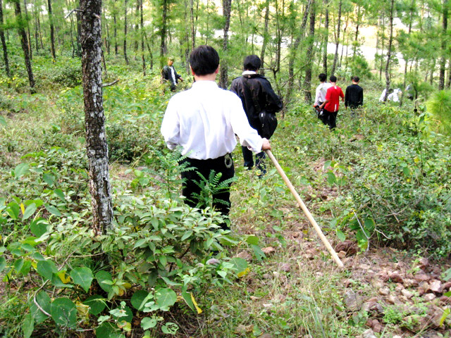 Lực lượng cảnh sát Thanh Hóa đang truy tìm, vây bắt bốn tên phạm nhân trốn trại tại khu vực Rừng Thông, huyện Đông Sơn