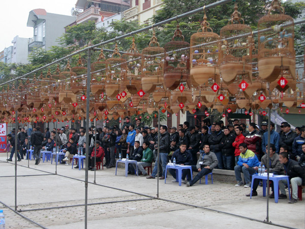 Nhiều người háo hức tới theo dõi