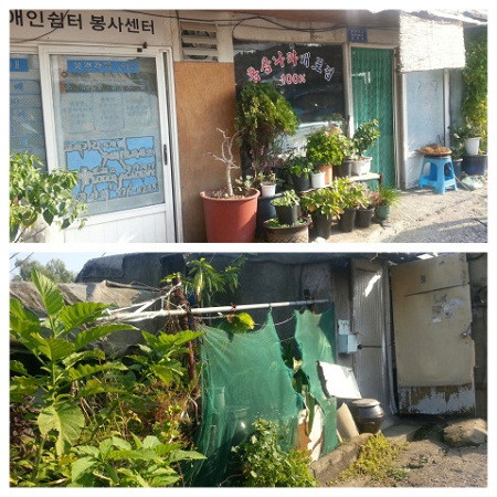 Căn nhà "khang trang" dành để dân làng tiếp khách và các đoàn hoạt động tình nguyện. Căn nhà