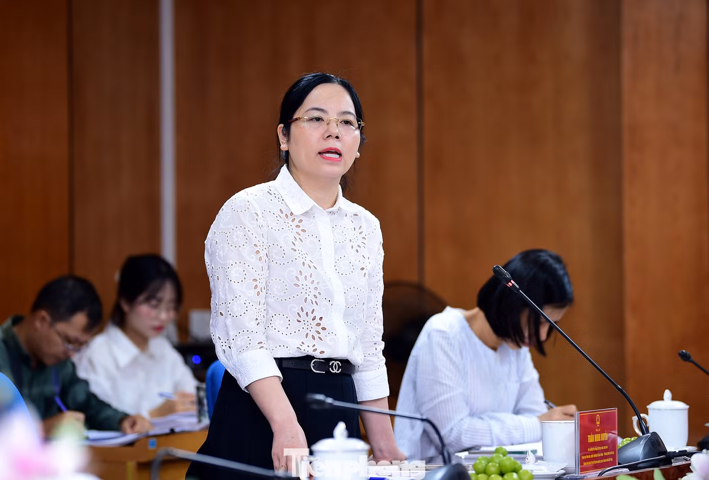 Bà Trần Minh Huyền trao đổi tại buổi làm việc. Ảnh: Xuân Tùng