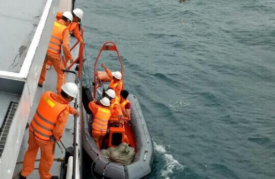 Bão 14 suy yếu thành áp thấp, vẫn xảy ra nhiều tai nạn trên biển ảnh 1