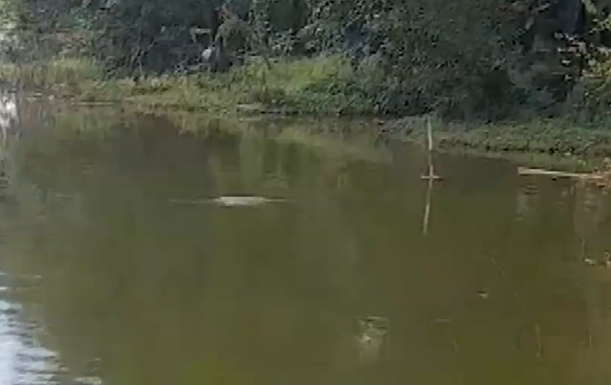 Khu vực các bé tắm và bị đuối nước