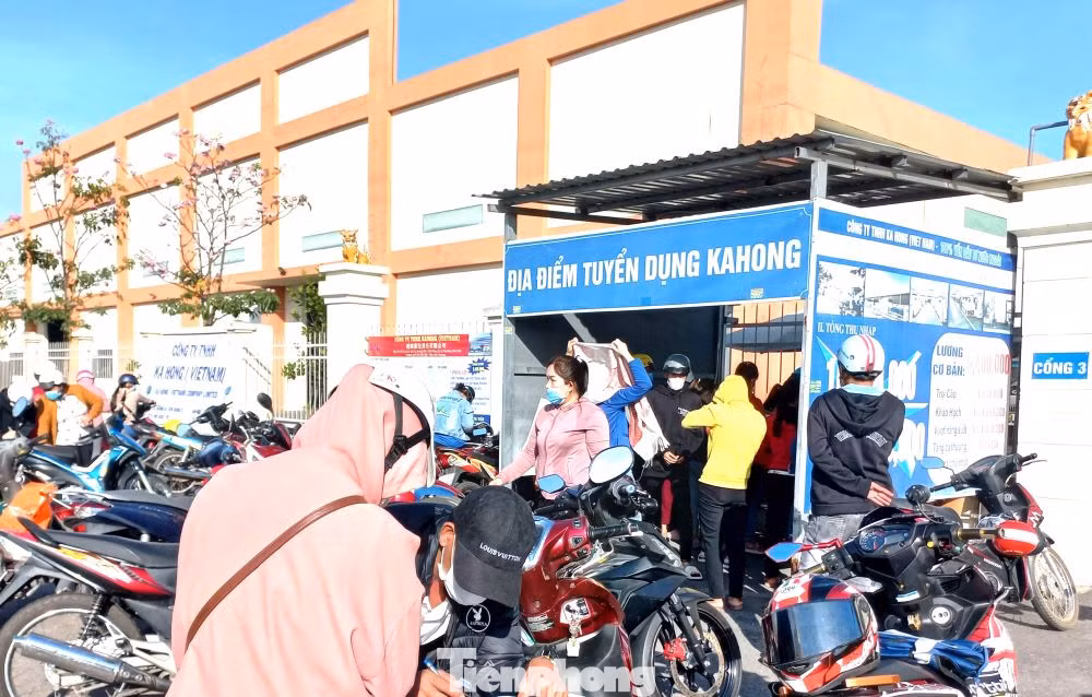 Danh sách các doanh nghiệp cần tuyển dụng, đầy đủ các ngành nghề gồm: Điện tử, may mặc, giày, chế biến, điện, dệt, thiết bị y tế, thực phẩm, nước giải khát với tổng số lượng khoảng 15.000 lao động. Các doanh nghiệp có nhu cầu tuyển dụng từ 200 đến hơn 2.000 lao động với mức lương từ 6 đến 12 triệu đồng/tháng, tùy vào vị trí công việc. Danh sách các doanh nghiệp cần tuyển dụng, đầy đủ các ngành nghề gồm: Điện tử, may mặc, giày, chế biến, điện, dệt, thiết bị y tế, thực phẩm, nước giải khát với tổng số lượng khoảng 15.000 lao động. Các doanh nghiệp có nhu cầu tuyển dụng từ 200 đến hơn 2.000 lao động với mức lương từ 6 đến 12 triệu đồng/tháng, tùy vào vị trí công việc.