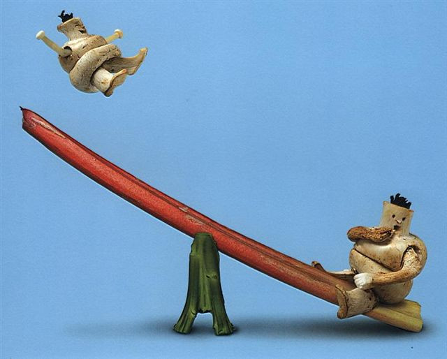 Thế giới động vật rau củ quả ngộ nghĩnh ảnh 10