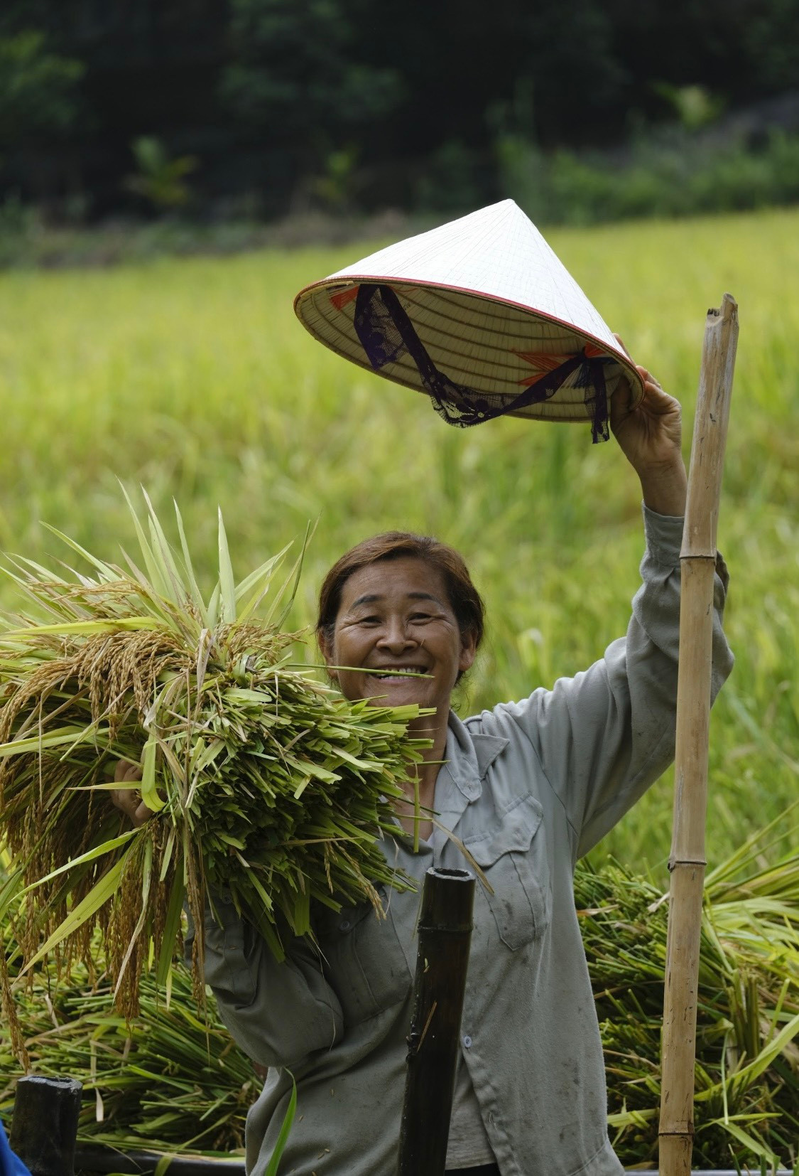 Nông dân trên miền di sản Tràng An.