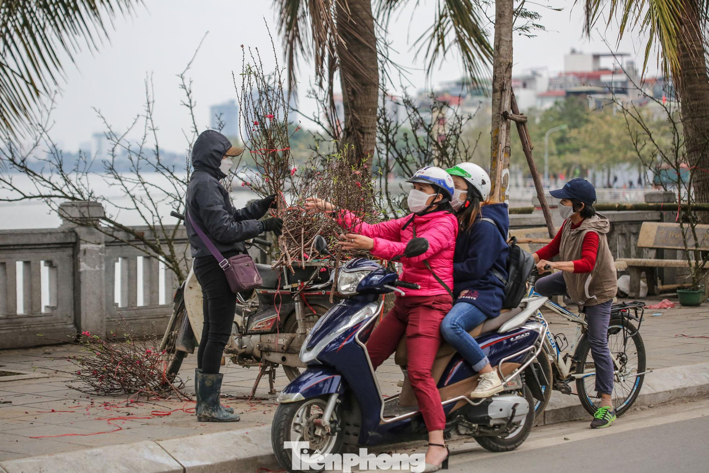 Ghi nhận tại các con phố như Lạc Long Quân, Âu Cơ, Thanh Niên, chợ Quảng Bá, những cành đào, lớn nhỏ đang nở bung hoa được đưa xuống đường bày bán để phục vụ người mua. Đây cũng là vụ cuối hoa đào trong dịp xuân này.