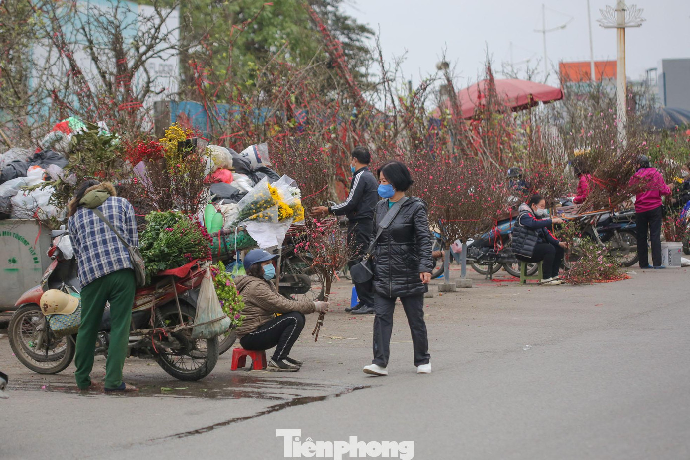 Giá đào buôn bán trong ngày này thấp hơn so với giá bán phục vụ Tết Nhâm Dần 2022. Chỉ 30.000 đồng cho một cành đào nhỏ, cành lớn hơn có giá khoảng từ 50.000 - 200.000 đồng/cành tùy kích thước, lộc hoa trên cành...