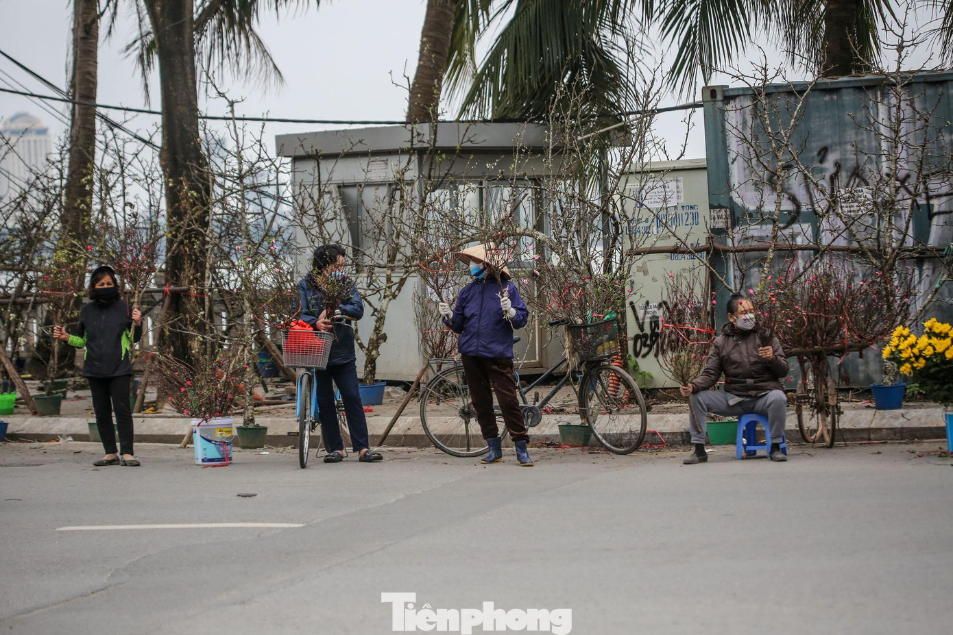 Ngày 15/1 Âm lịch hay còn gọi là ngày rằm tháng Giêng, là một trong những ngày rất quan trọng của người châu Á nói chung và người Việt Nam nói riêng. Vào ngày này, một cành đào mới hé nụ được đặt trên bàn thờ gia tiên, trước hiên nhà hoặc phòng khách - đó là thú chơi đào riêng của người Hà Nội.