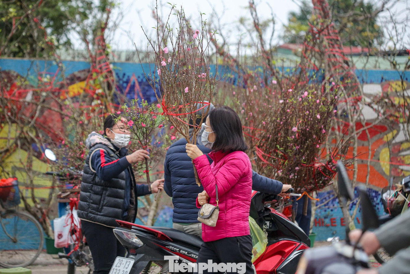 Những cành đào mang chút &quot;lộc&quot; cho những chủ nhà vườn, người trồng.