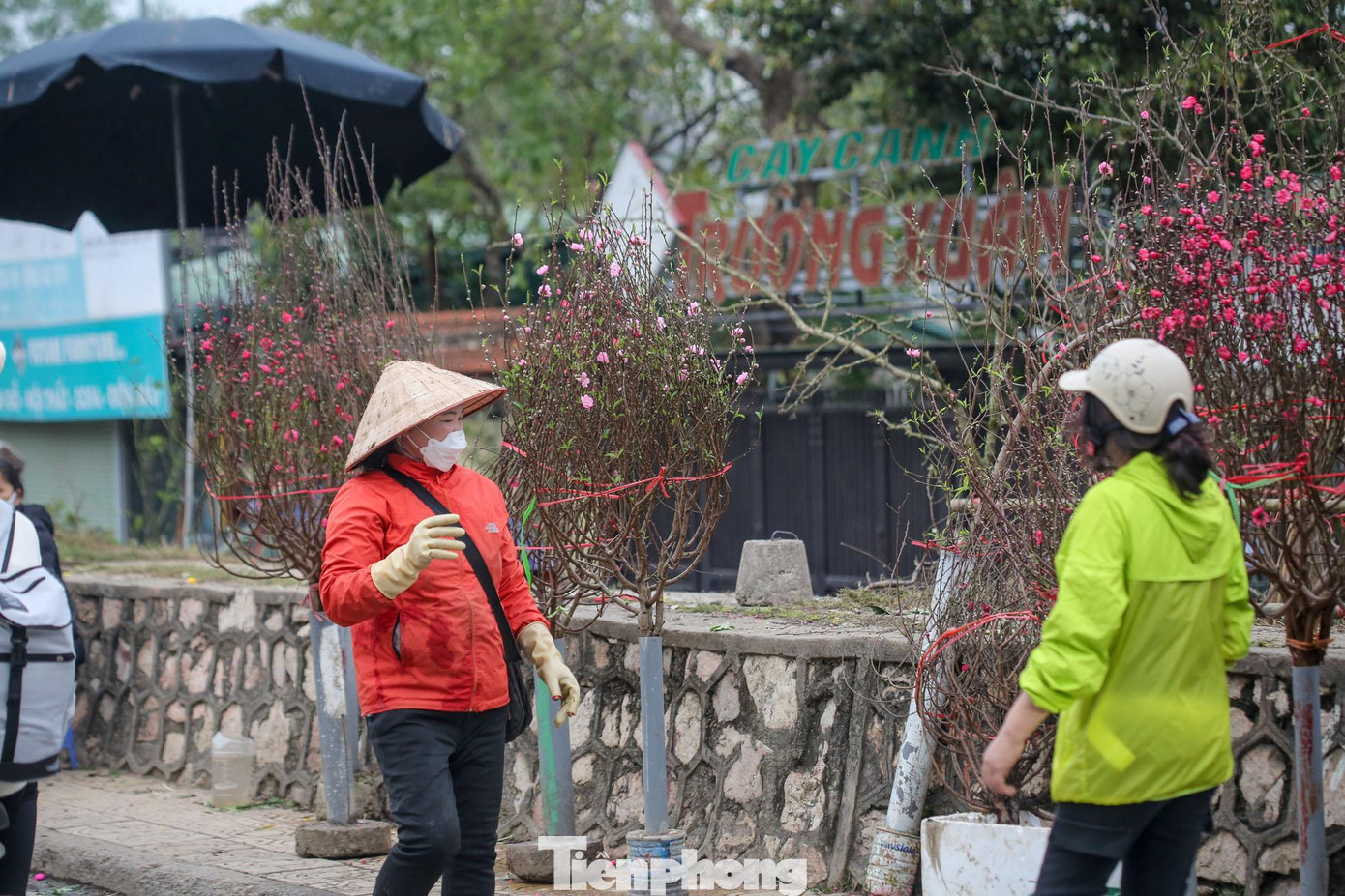 &quot;Đào cành bây giờ không được đẹp so với trước Tết, hoa nhỏ và lá không dày, nhiều cành hoa đã nở bung. Nhưng để cúng rằm, nhà tôi vẫn chọn loại hoa có sắc đỏ như đào để lấy may&quot;, một khách hàng đến chợ Quảng Bá chia sẻ.
