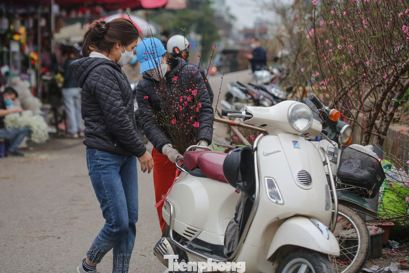 Từng cành đào được bó trên những chiếc xe để được chở đi.