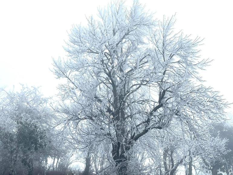 Kỳ thú phong cảnh mùa đông châu Âu trên đường lên đỉnh núi Fansipan (Ảnh: Trung tâm thông tin xúc tiến du lịch tỉnh Lào Cai).