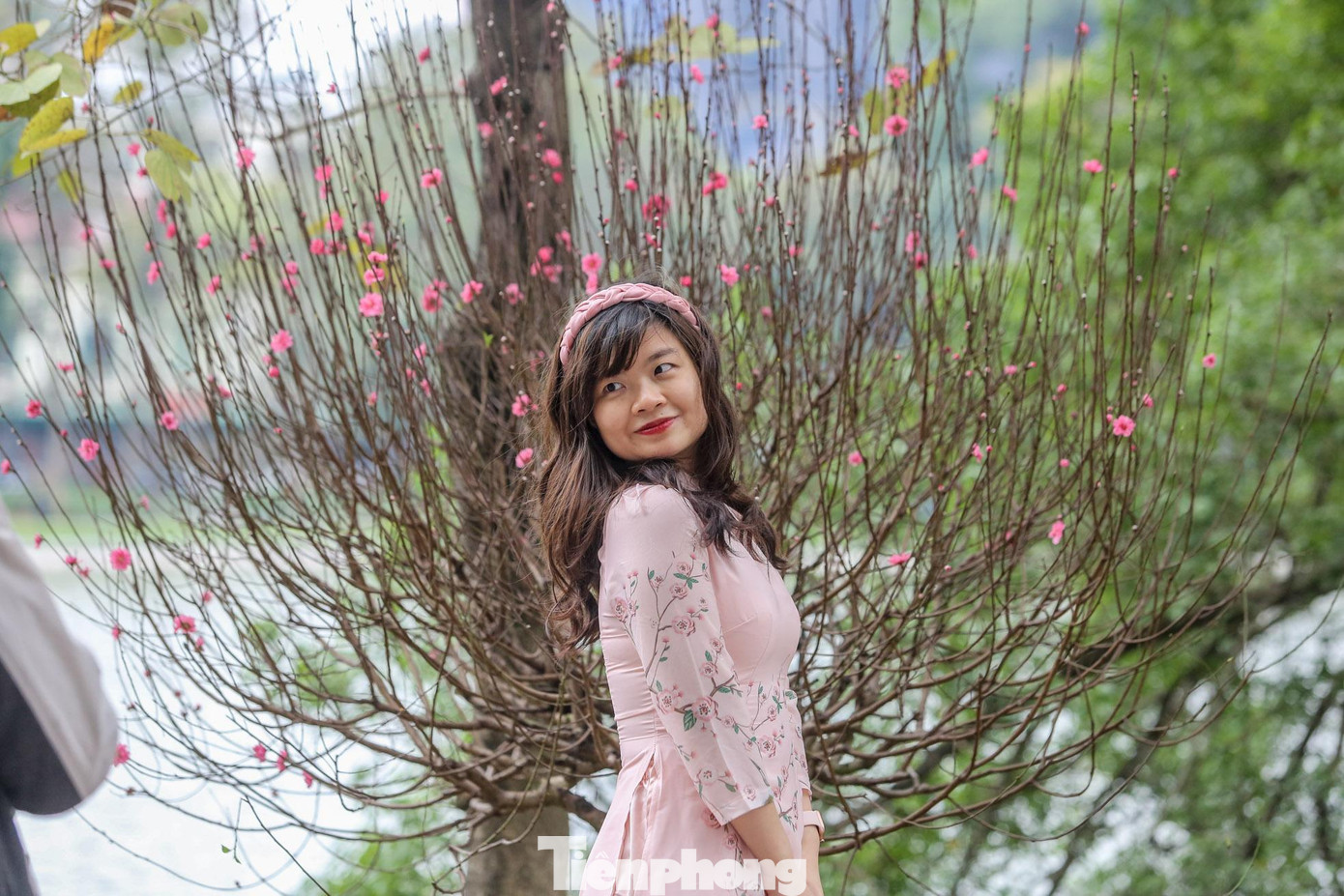 Thiếu nữ mặc áo dài thả dáng bên cành đào được trồng tại hồ.