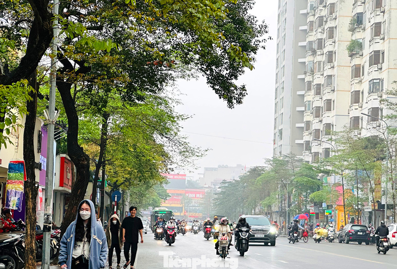 Trên đường Phạm Ngọc Thạch xe ô tô, xe máy phải bật đèn khi trời sương mù.