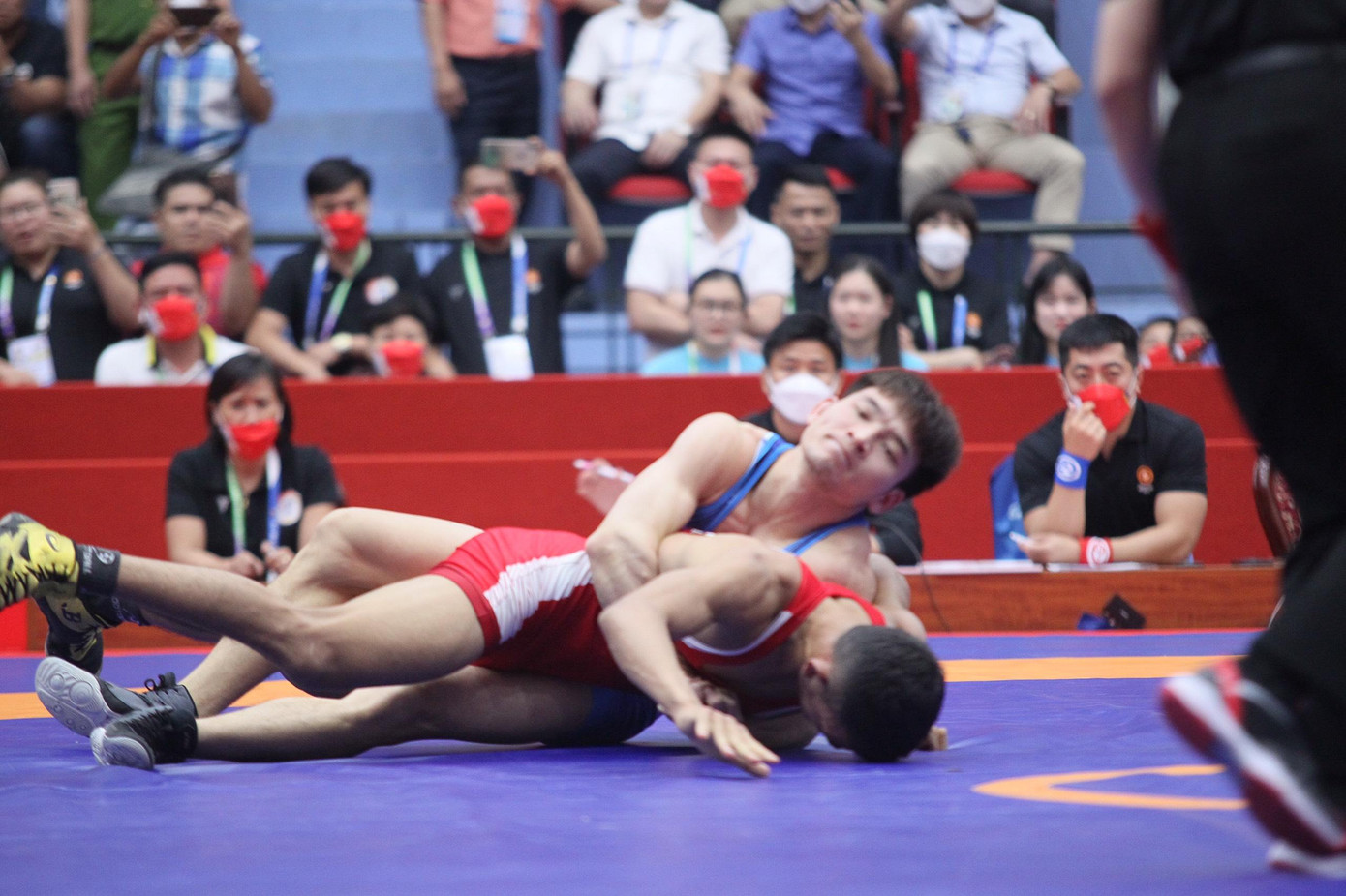 Ảnh: Quý Lượng