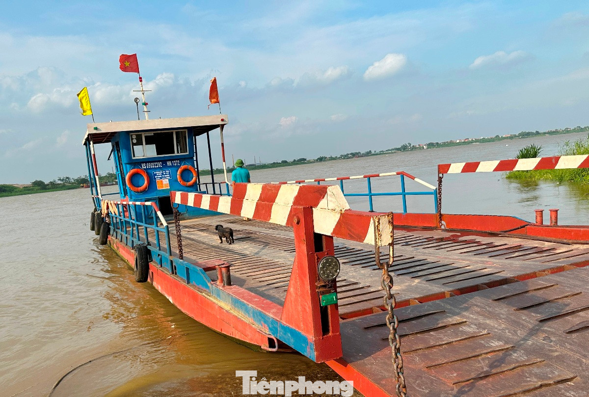 Thậm chí, tại bến phà Giáng (Phú Xuyên), bến đã hết phép từ năm 2023 (theo quy định bến phà phải dừng hoạt động) nhưng chiều 24/6/2025, phóng viên ghi nhận, tại đây phà vẫn nổ máy, dừng chờ khách để chở qua sông.