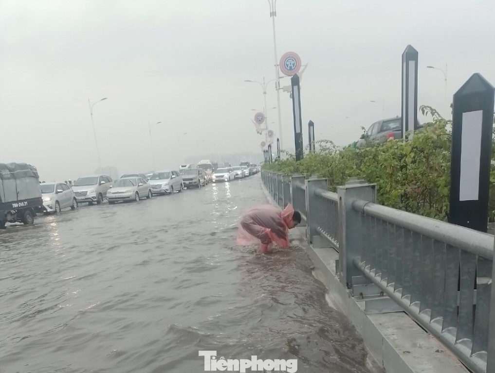Hàng cây xanh chủ yếu là cây hoa giấy được trồng ở dải phân cách khi còn tươi tốt thời điểm cầu bị ngập nặng do mưa vào tháng 5/2024.