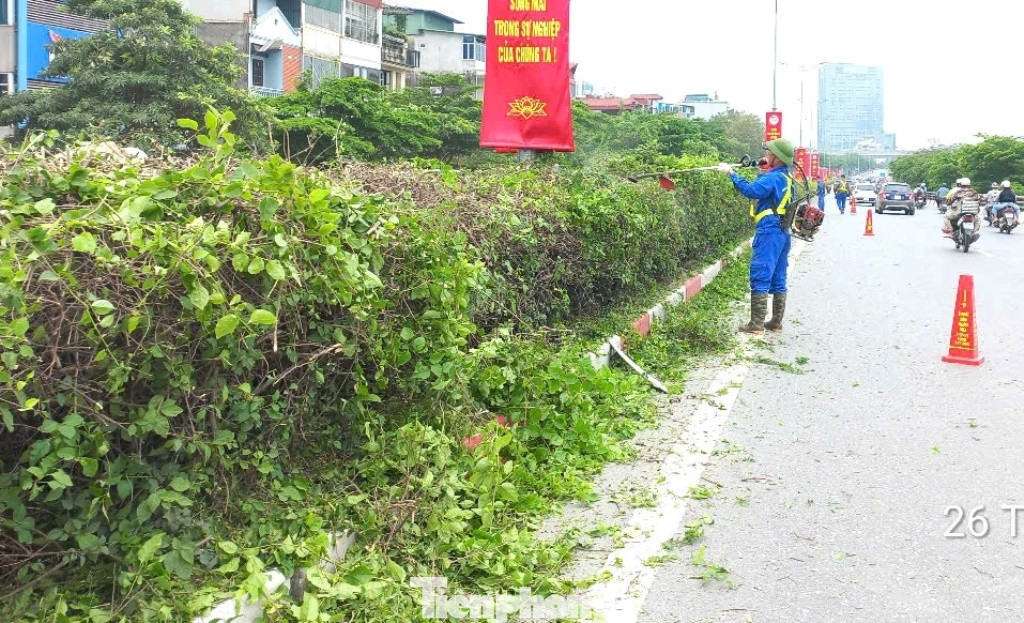 Ngày 26/4, công nhân đô thị đồng loạt thực hiện chỉnh trang các tuyến phố trong đó có cắt tỉa cây xanh cho gọn gàng. Trên tuyến phố Bưởi, do hoạt động cắt tỉa cây xanh lâu nay ít được thực hiện, nên phần cành cây và lá đua ra đường rất lớn, công nhân đô thị phải vất vả để cắt tỉa cho gọn gàng. Ngày 26/4, công nhân đô thị đồng loạt thực hiện chỉnh trang các tuyến phố trong đó có cắt tỉa cây xanh cho gọn gàng. Trên tuyến phố Bưởi, do hoạt động cắt tỉa cây xanh lâu nay ít được thực hiện, nên phần cành cây và lá đua ra đường rất lớn, công nhân đô thị phải vất vả để cắt tỉa cho gọn gàng.