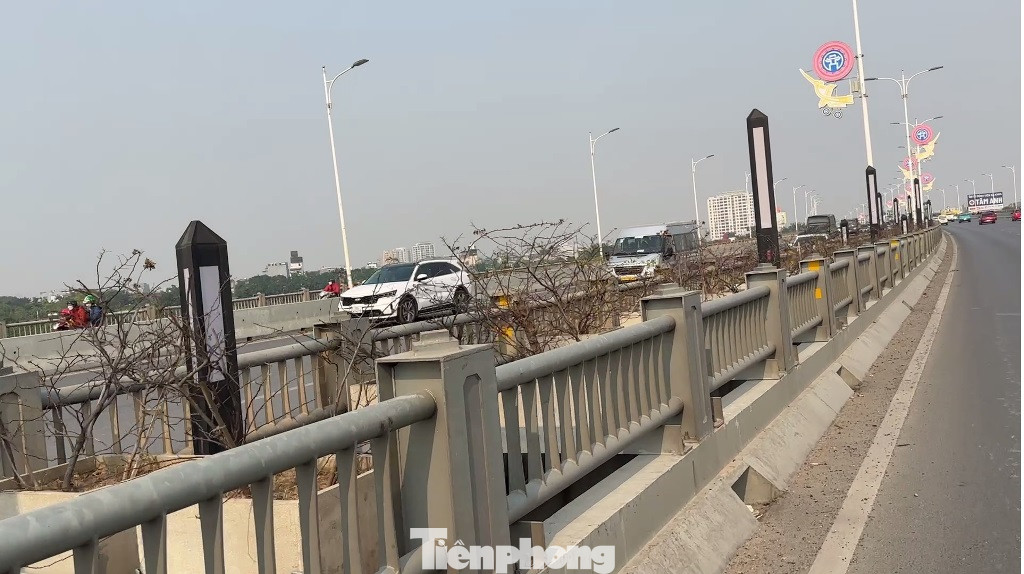 Cây xanh và cây hoa tạo cảnh quan và chống bụi trên cầu Vĩnh Tuy chết chưa rõ nguyên nhân, nhưng ghi nhận của phóng viên là cây được trồng trong chậu sứ và bê tông lớn nhưng đất luôn khô cứng, thiếu nước để tạo độ ẩm.