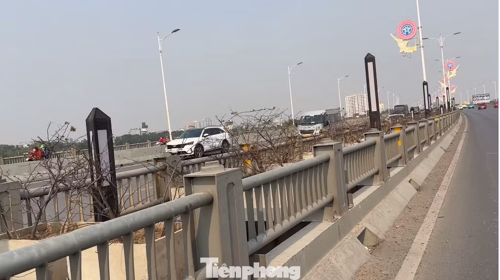 Cây xanh và cây hoa tạo cảnh quan và chống bụi trên cầu Vĩnh Tuy chết chưa rõ nguyên nhân, nhưng ghi nhận của phóng viên là cây được trồng trong chậu sứ và bê tông lớn nhưng đất luôn khô cứng, thiếu nước để tạo độ ẩm. Cây xanh và cây hoa tạo cảnh quan và chống bụi trên cầu Vĩnh Tuy chết chưa rõ nguyên nhân, nhưng ghi nhận của phóng viên là cây được trồng trong chậu sứ và bê tông lớn nhưng đất luôn khô cứng, thiếu nước để tạo độ ẩm.