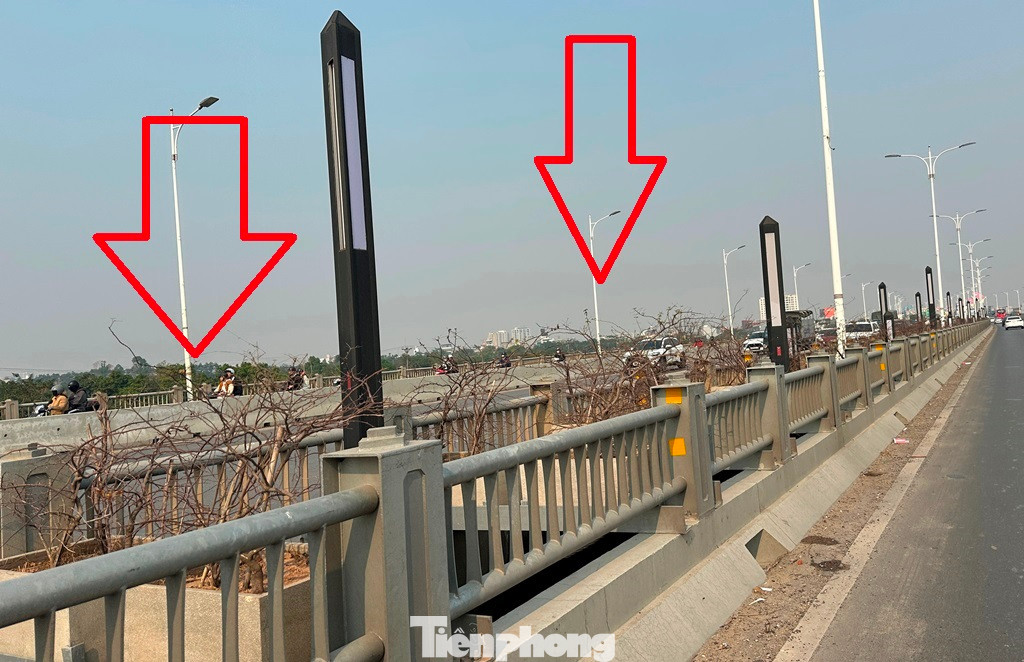 Hàng cây xanh và cây hoa tạo cảnh quan được trồng tại dải phân cách giữa khi cầu Vĩnh Tuy giai đoạn 2 (cầu Vĩnh Tuy 2 - nằm sát cầu Vĩnh Tuy 1) được xây dựng xong.