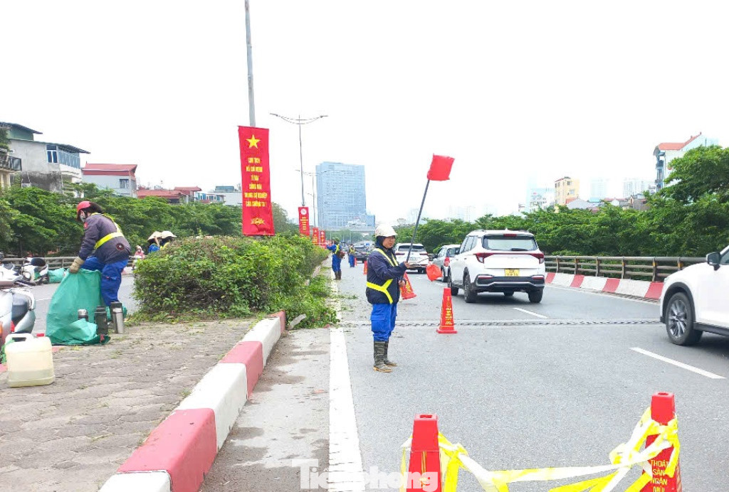 Để cho hoạt động cắt tỉa cây diễn ra nhanh, an toàn, các tổ cắt tỉa cây đã phải cử ra một công nhân đứng vẫy cờ (hoa tiêu) để phương tiện lưu thông trên đường nhận biết, không gây tai nạn. Để cho hoạt động cắt tỉa cây diễn ra nhanh, an toàn, các tổ cắt tỉa cây đã phải cử ra một công nhân đứng vẫy cờ (hoa tiêu) để phương tiện lưu thông trên đường nhận biết, không gây tai nạn.