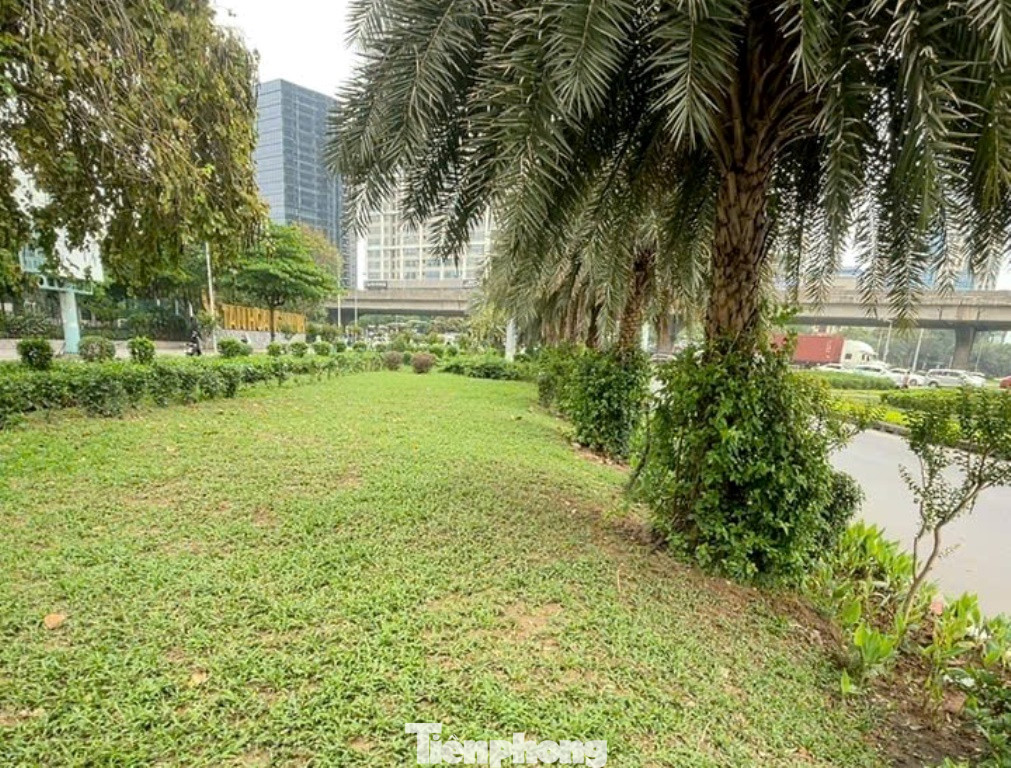 Thảm cỏ ở dải phân cách phố Trần Duy Hưng và nhiều tuyến phố khác trên địa bàn Hà Nội đến chiều nay đã gọn gàng, sạch đẹp, mang diện mạo mới. Thảm cỏ ở dải phân cách phố Trần Duy Hưng và nhiều tuyến phố khác trên địa bàn Hà Nội đến chiều nay đã gọn gàng, sạch đẹp, mang diện mạo mới.