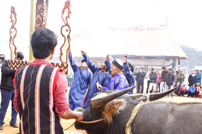 Trâu được buộc chặt vào cột X’nur, các già làng làm lễ cúng Giàng và khóc trâu. Họ khóc trâu rằng: T’rí ơi! Amay canh acon vêl bhướl, amay chết vêl bhướl k’ây lom k’ây luôl t’ri ơi… Amay chết đăng vêl bhướl gabhố, đăng Pleng năl luôi lom vêl bhươl.. (Trâu ơi mày là đứa con cả dân làng, mày chết đi dân làng đau lòng lắm trâu ơi… Mày chết đi để dân làng được no ấm, cho Giàng biết cái bụng của dân làng…)