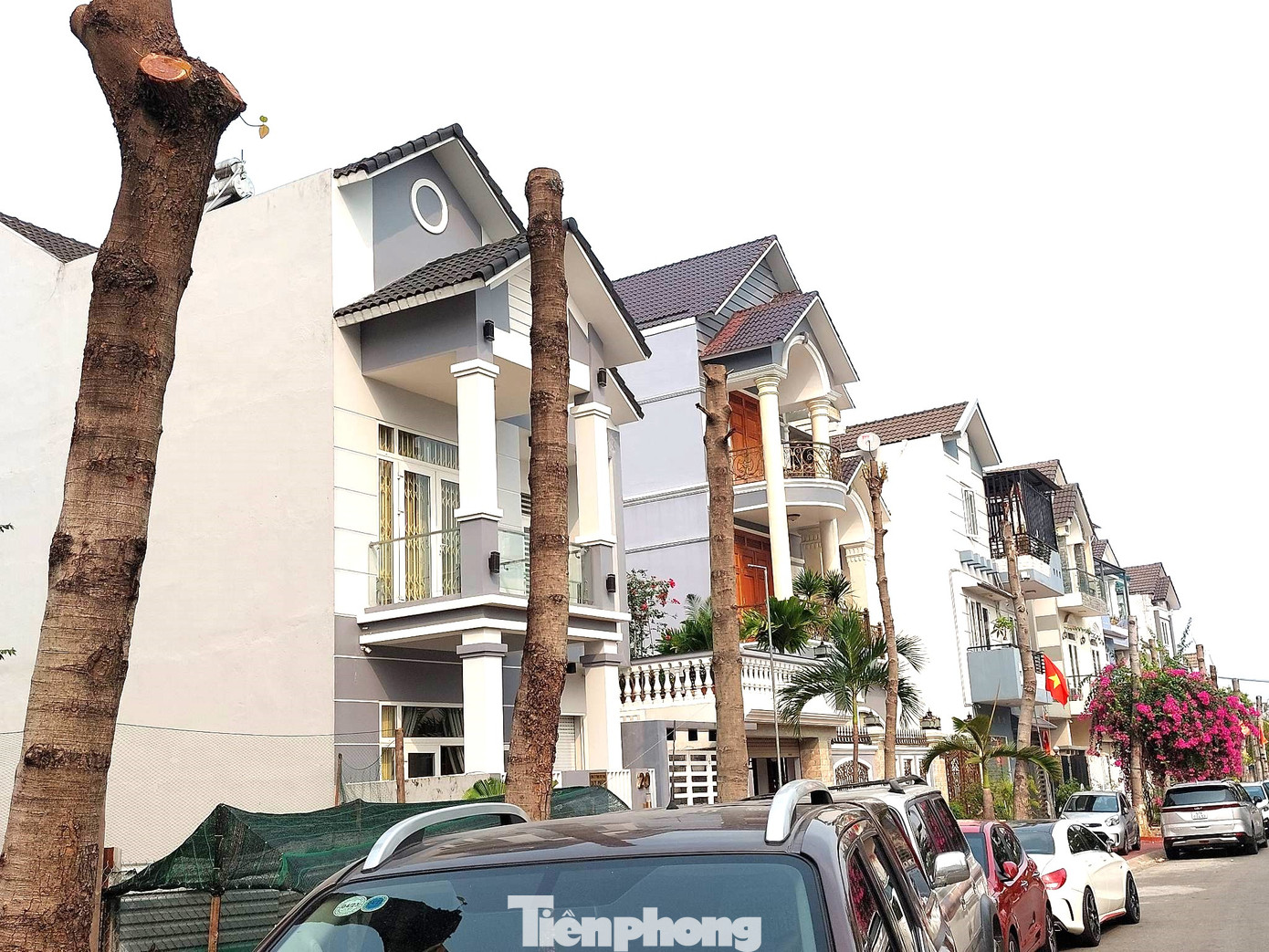 Đường phố ngột ngạt bê tông khi cây xanh bị chặt ngang Đường phố ngột ngạt bê tông khi cây xanh bị chặt ngang