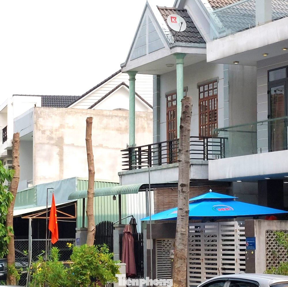 Cây xanh bị chặt bỏ chỉ còn một phần thân làm mất bóng râm