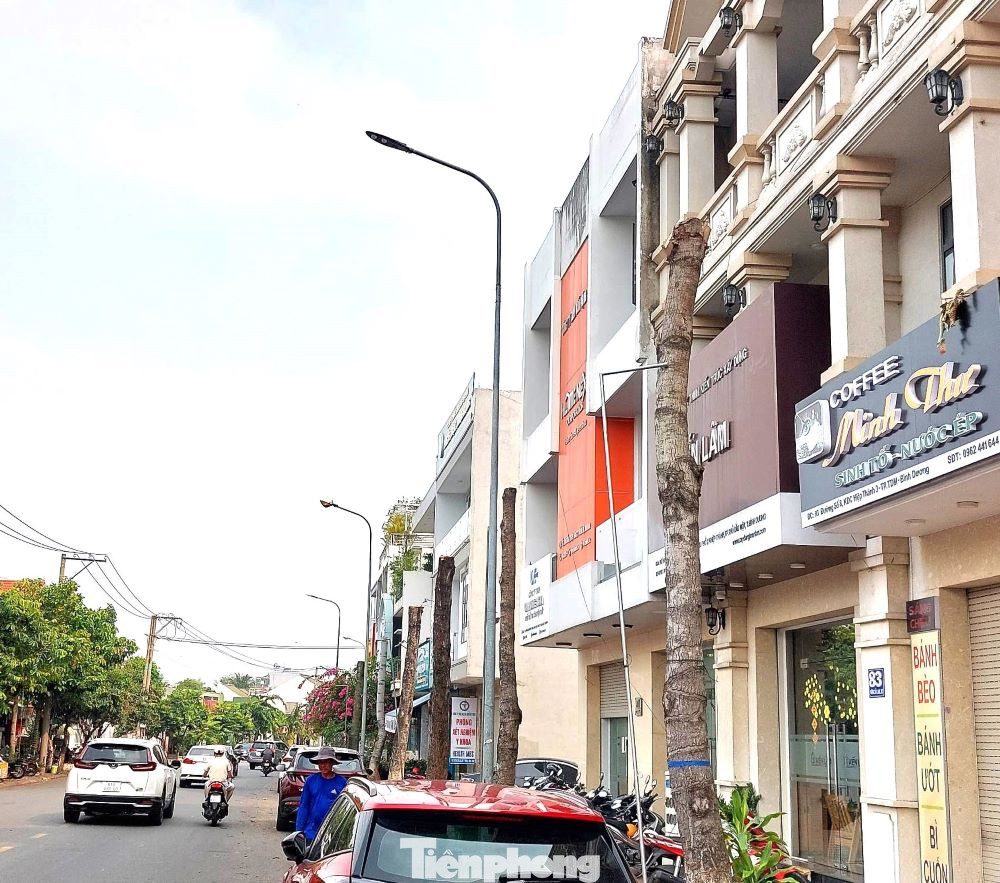 Những ngày qua, người dân ở phường Hiệp Thành (TP Thủ Dầu Một, tỉnh Bình Dương) bất ngờ khi chứng kiến hàng loạt cây xanh bên đường bị đốn hạ, chỉ để lại một phần thân cây trơ trọi. Do thời tiết những ngày qua nắng nóng, việc cây xanh bị chặt bỏ khiến nhiều người bức xúc.