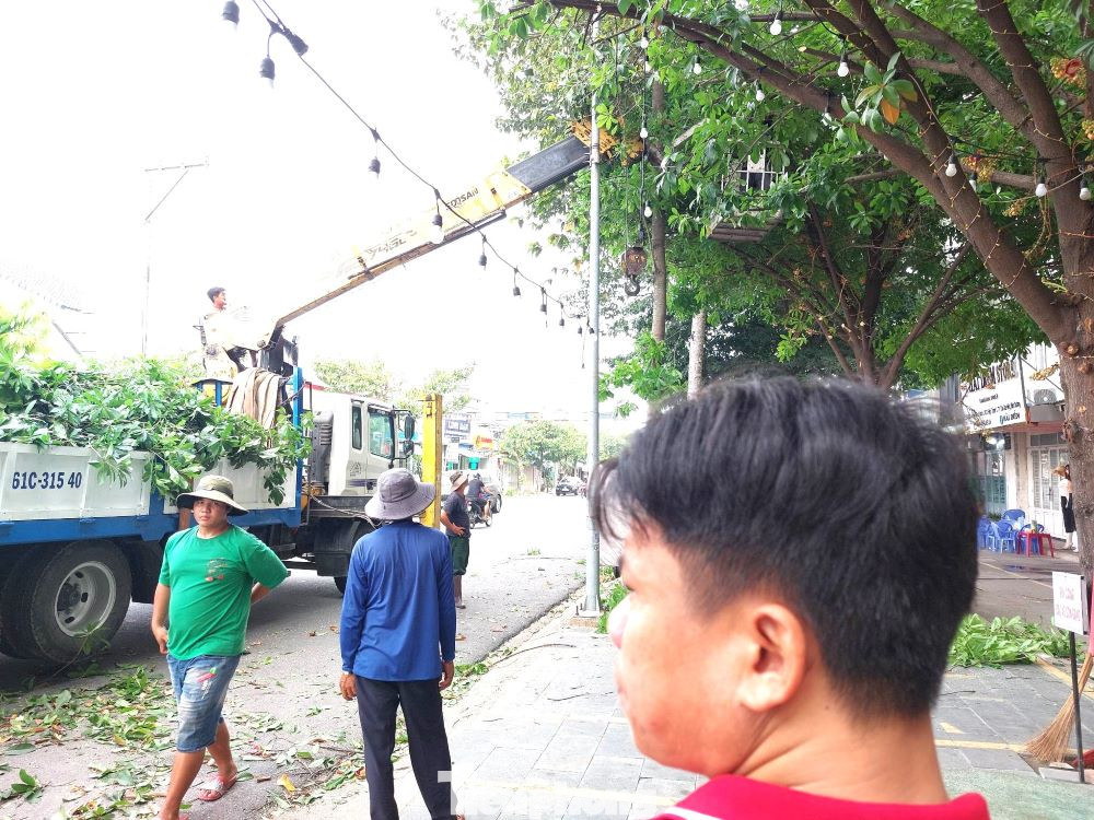 Theo đại diện chính quyền TP Thủ Dầu Một, cây xanh trên các tuyến đường thuộc thẩm quyền quản lý của địa phương, chỉ được cắt tỉa cành để tạo cảnh quan đô thị, đồng thời tránh xảy ra hệ lụy do thiên tai khi Nam Bộ đang bước vào mùa mưa. Cây xanh bị đốn hạ thuộc địa bàn phường Hiệp Thành do Ban Quản lý Khu dân cư Hiệp Thành 3 quản lý.