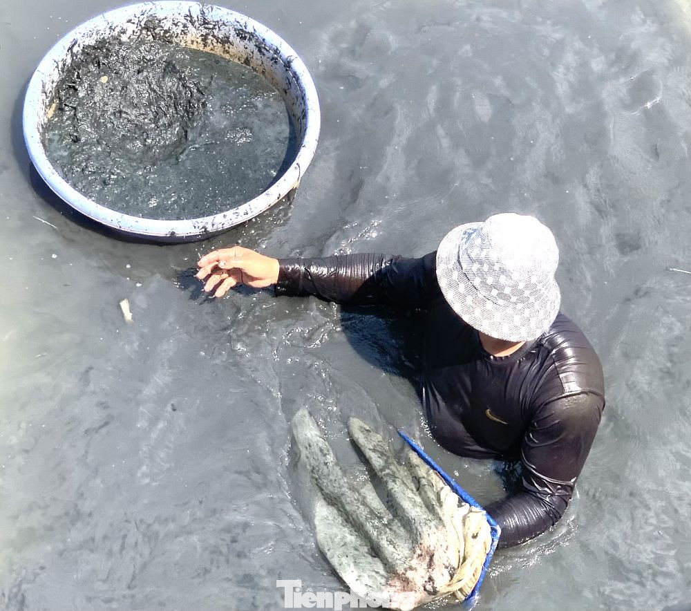 Theo chân anh Trần Tuấn Dương đi săn trùn chỉ ở rạch Lái Thiêu (giáp sông Sài Gòn) đoạn thuộc phường Lái Thiêu, TP Thuận An, tỉnh Bình Dương, chúng tôi cảm nhận được cuộc sống mưu sinh của các "thợ săn" không hề đơn giản. Theo chân anh Trần Tuấn Dương đi săn trùn chỉ ở rạch Lái Thiêu (giáp sông Sài Gòn) đoạn thuộc phường Lái Thiêu, TP Thuận An, tỉnh Bình Dương, chúng tôi cảm nhận được cuộc sống mưu sinh của các "thợ săn" không hề đơn giản.