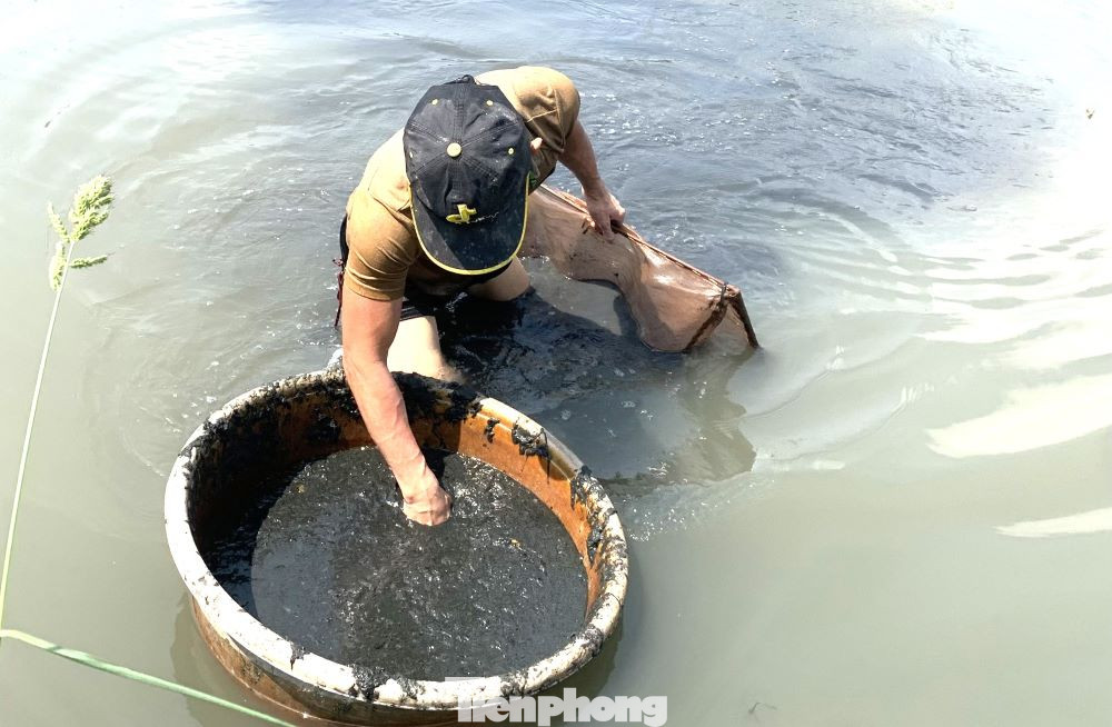 “Bất kể sáng hay chiều, mỗi khi nước xuống, tôi lại ra rạch săn trùn. Vất vả chút nhưng ham lắm vì khách hỏi mua liên tục, hàng không đủ để cung cấp”, anh Dương nói. “Bất kể sáng hay chiều, mỗi khi nước xuống, tôi lại ra rạch săn trùn. Vất vả chút nhưng ham lắm vì khách hỏi mua liên tục, hàng không đủ để cung cấp”, anh Dương nói.