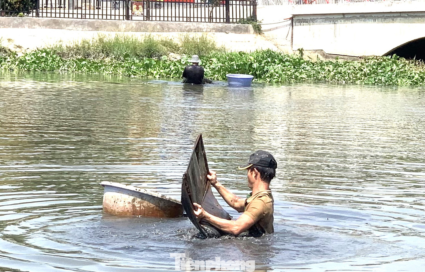 Để bắt được trùn chỉ, các thợ săn phải ngụp lặn dưới dòng nước bẩn trong nhiều giờ liền. Dù vậy, nghề này cho thu nhập cao, bản thân lại quen với môi trường sông nước nên các thợ săn cảm thấy bình thường. Để bắt được trùn chỉ, các thợ săn phải ngụp lặn dưới dòng nước bẩn trong nhiều giờ liền. Dù vậy, nghề này cho thu nhập cao, bản thân lại quen với môi trường sông nước nên các thợ săn cảm thấy bình thường.