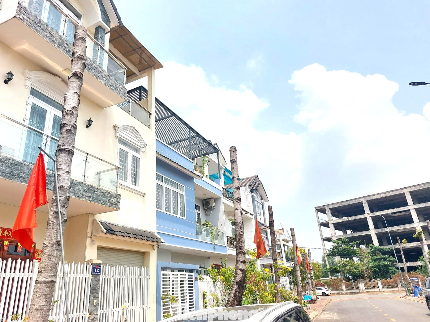 Toàn bộ cây xanh trước nhà dân bị chặt ngang Toàn bộ cây xanh trước nhà dân bị chặt ngang