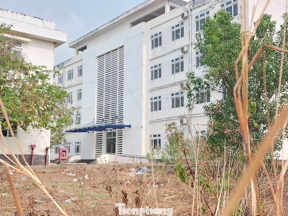 Công trình bỏ hoang nên cỏ dại mọc đầy