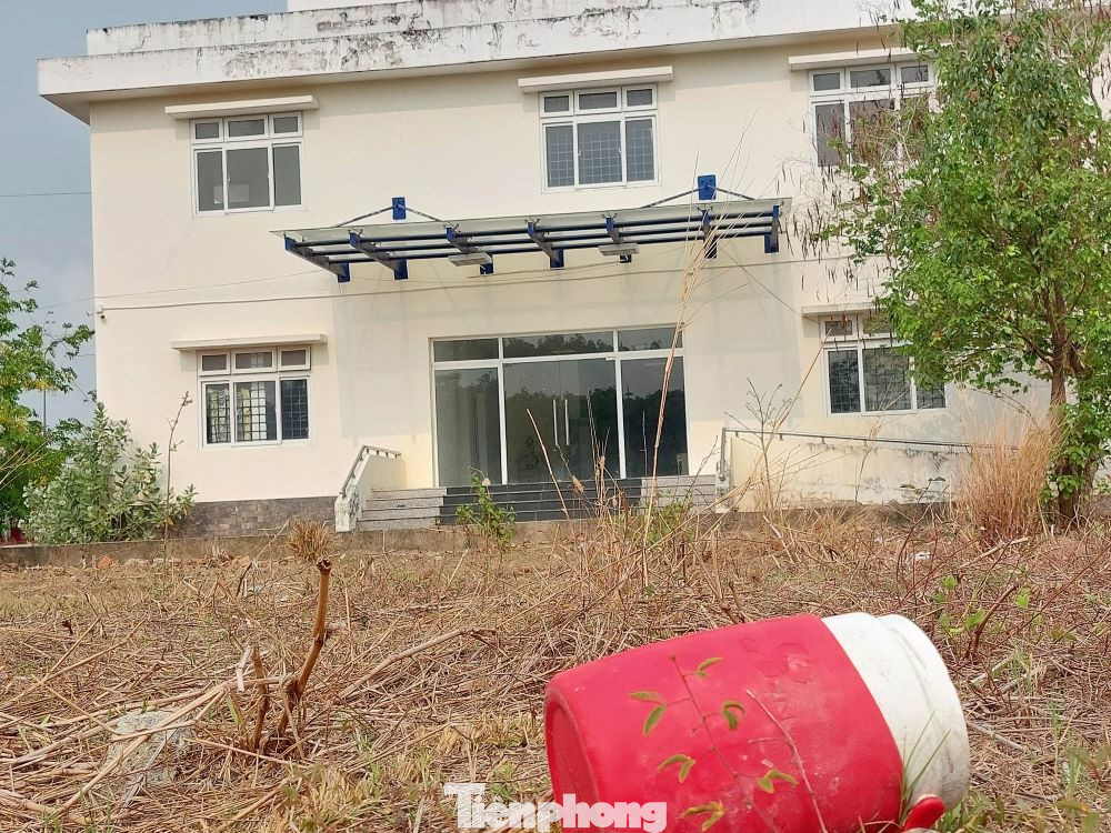 Liên quan đến việc công trình bệnh viện xây xong bỏ hoang, đại diện lãnh đạo Sở Y tế tỉnh Bình Dương cho biết, khi công trình hoàn thành, trong quá trình kiểm tra để nghiệm thu, chủ đầu tư (Bệnh viện Đa khoa tỉnh Bình Dương) phát hiện một số hạng mục chưa thực hiện theo thiết kế ban đầu, trong khi hạng mục hoàn thiện thì chưa đạt yêu cầu nên chưa thể nhận bàn giao.