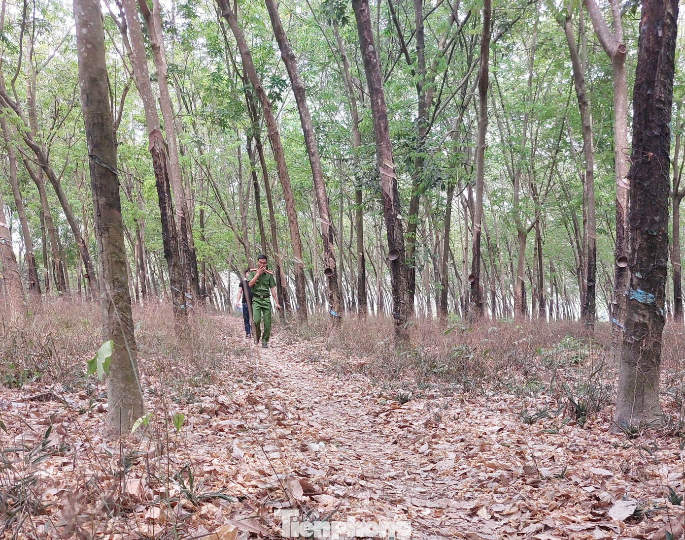 Công an đi vào hiện trường phát hiện chiếc xe