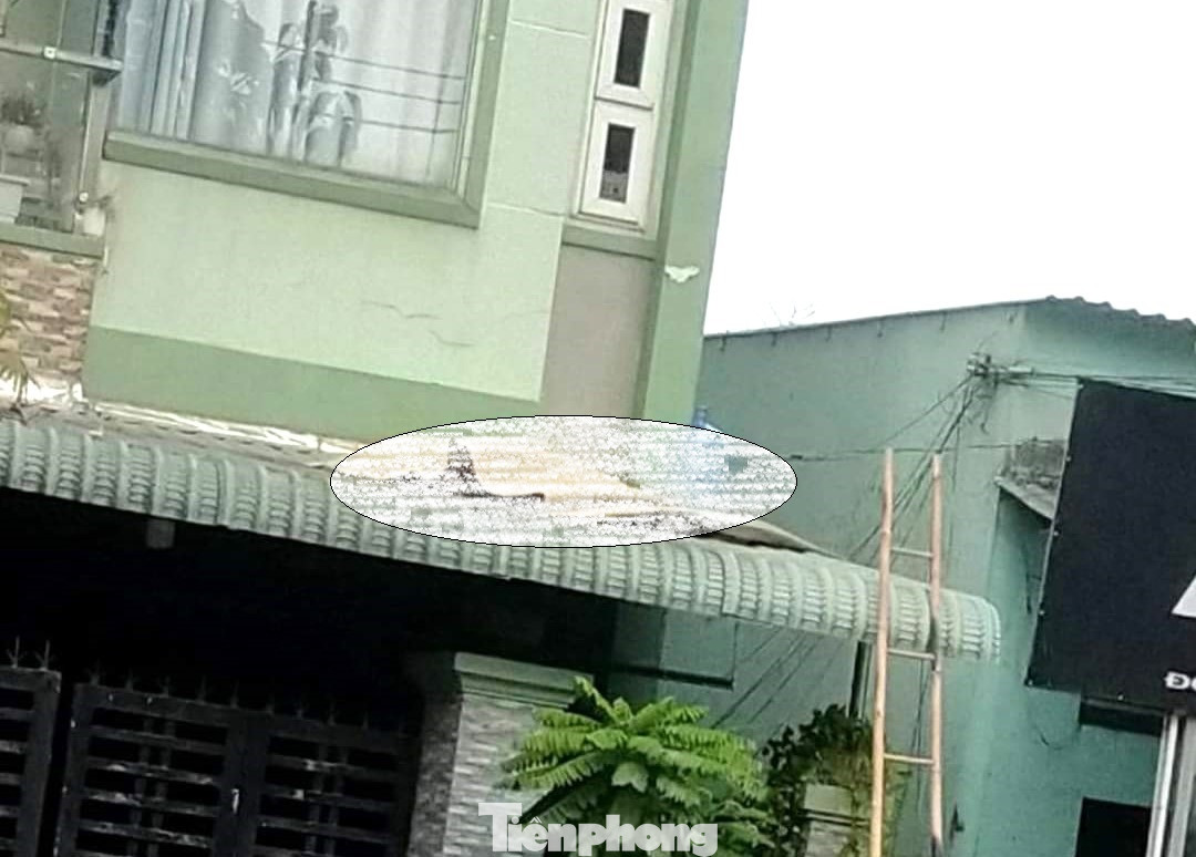 Hiện trường vụ việc