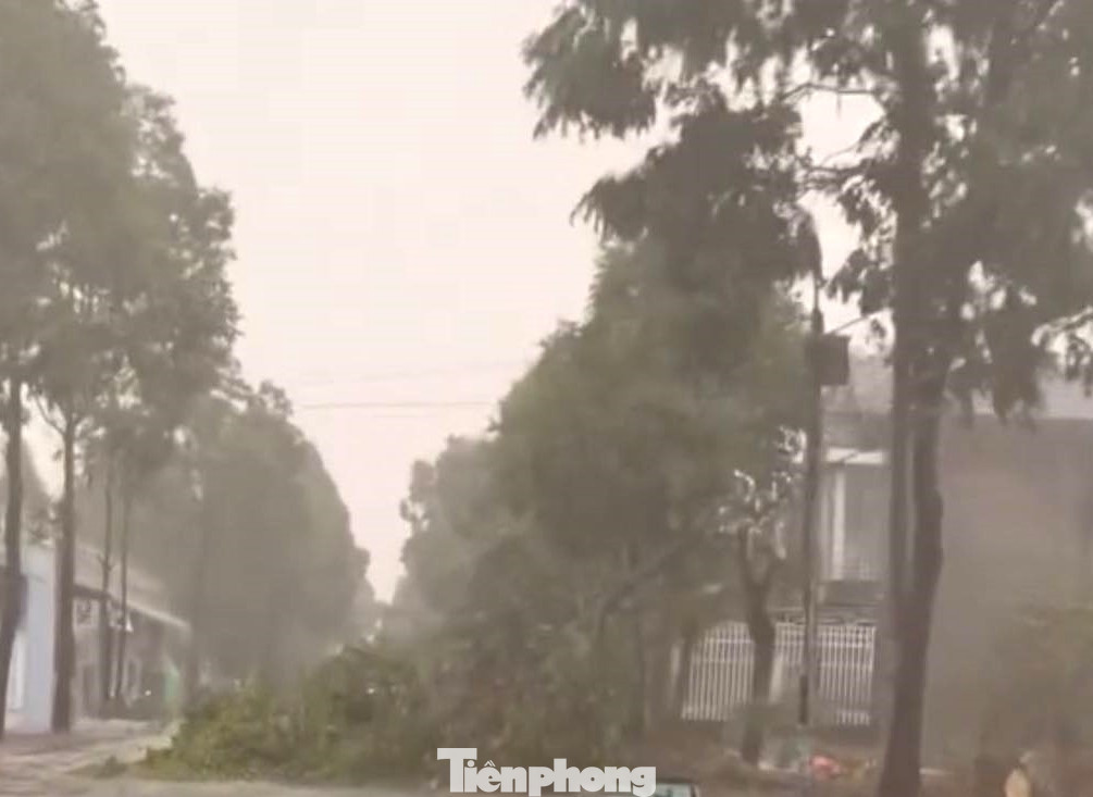 Cơn mưa lớn chiều nay khiến cây xanh gãy giữa đường ở thị xã Bến Cát, Bình Dương Cơn mưa lớn chiều nay khiến cây xanh gãy giữa đường ở thị xã Bến Cát, Bình Dương