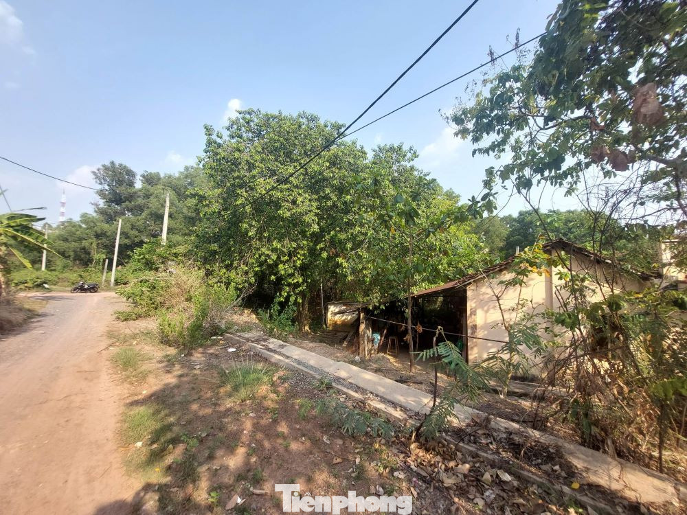 Trong khi đó, đại diện lãnh đạo UBND TP. Thủ Dầu Một cho biết thêm, Dự án Công viên Phú Cường nằm trên địa bàn các khu phố 1 và 2 (phường Phú Cường), thuộc tờ bản đồ 30 và 31, tổng diện tích quy hoạch là 24.833,2m2. Đến nay, dự án Công viên Phú Cường đã thực hiện nhiều năm nhưng công tác bồi thường, hỗ trợ tái định cư chưa hoàn thành gây ảnh hưởng đến đời sống người dân có đất bị thu hồi trong dự án. Do vậy, ngày 23/9/2022, UBND tỉnh Bình Dương đã ban hành Quyết định số 2342 về việc thanh tra tình hình thực hiện các dự án khu nhà ở thương mại liên quan đến khiếu nại phức tạp đông người trên địa bàn tỉnh, trong đó có dự án Công viên Phú Cường (trước đây là dự án Thế Kỷ 21).