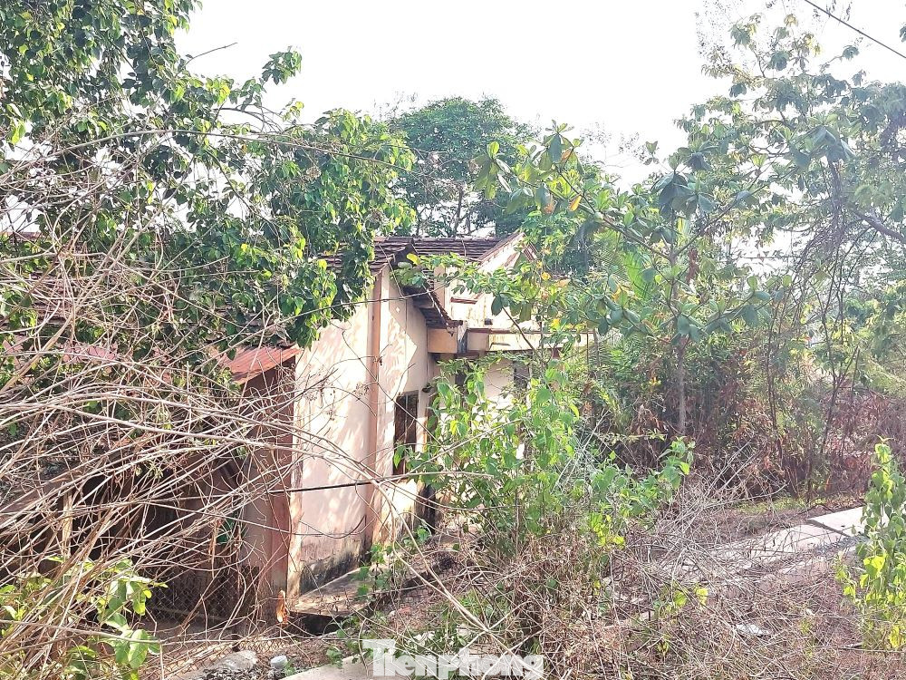 Vào năm 2016, UBND tỉnh Bình Dương quy hoạch khu đất nói trên để triển khai Dự án Công viên Phú Cường, trong đó bao gồm khu nhà ở tái định cư và công viên cây xanh. Sau khi chuyển đổi mục đích đất để xây dựng Công viên Phú Cường, dự án một lần nữa “án binh bất động” từ đó cho đến nay.