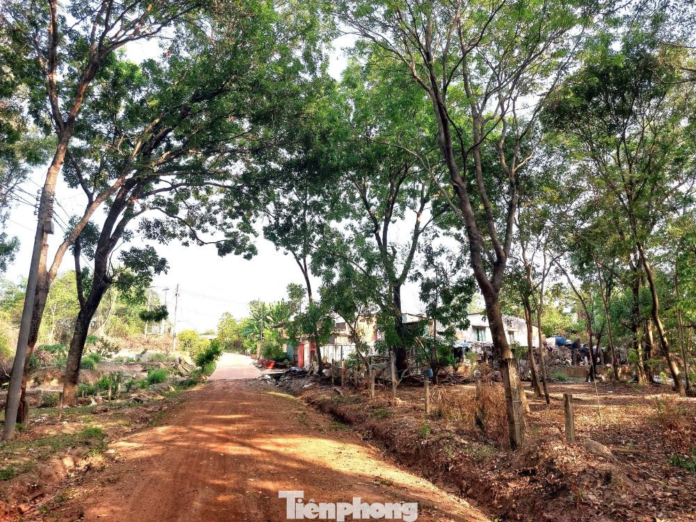 Theo ghi nhận của phóng viên báo Tiền Phong, trong khu vực dự án có hàng trăm căn nhà cấp 4, nhà mái tôn xuống cấp, ẩm thấp không được xây dựng mới hoặc chuyển nhượng, thế chấp vay vốn vì vướng dự án treo.