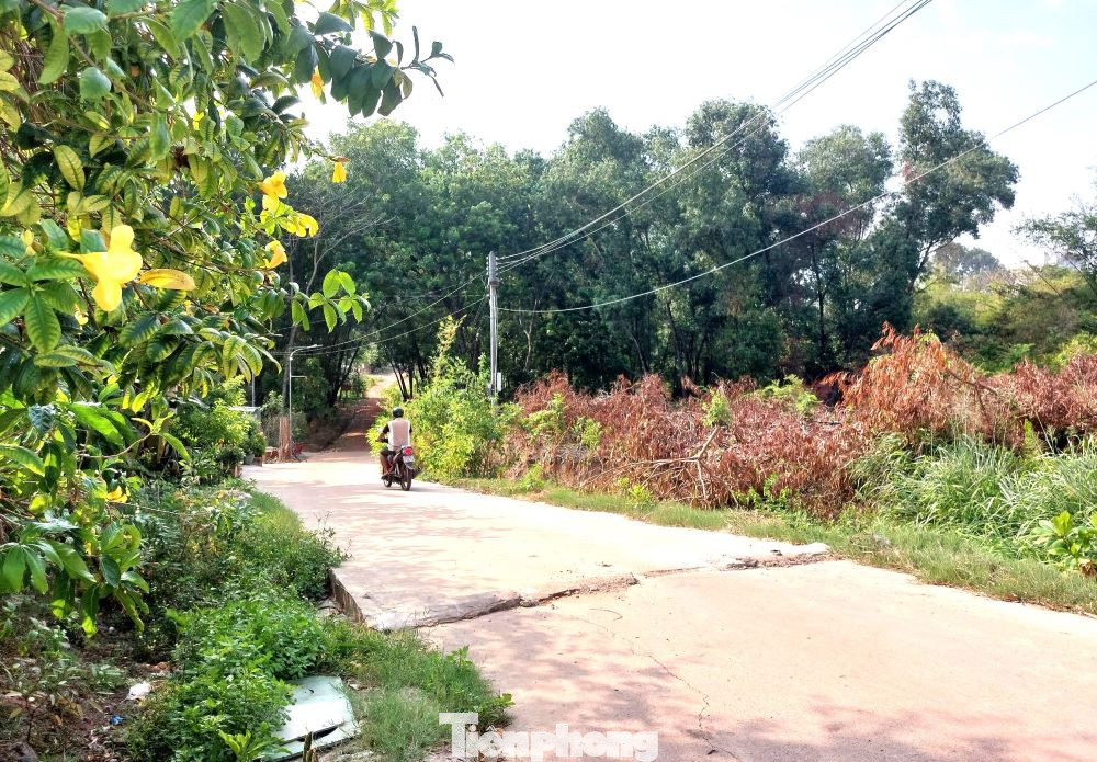 Hiện nay, UBND thành phố Thủ Dầu Một đang phối hợp với các cơ quan, đơn vị có liên quan để hỗ trợ công tác thanh tra của Đoàn Thanh tra tỉnh đối với dự án trên. Sau khi có kết luận của Đoàn Thanh tra đối với dự án Công viên Phú Cường và chỉ đạo của UBND tỉnh, UBND thành phố Thủ Dầu Một sẽ thực hiện các bước tiếp theo theo thẩm quyền quy định. Đối với việc hỗ trợ tiền tạm cư cho các hộ dân năm 2022, hiện nay đang được các Sở, ngành xem xét, tham mưu UBND tỉnh Bình Dương giải quyết theo quy định.