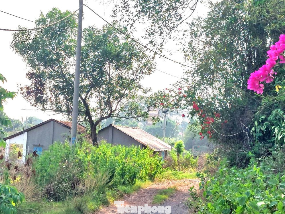 Sau thời gian dài dự án “đắp chiếu”, đến cuối năm 2015, Công ty Tân Vũ Minh có văn bản kiến nghị UBND tỉnh Bình Dương thu hồi dự án. Lúc bấy giờ, tỉnh Bình Dương đã chấp thuận về việc thu hồi chủ trương xây dựng dự án Khu dân cư Thế kỷ 21.