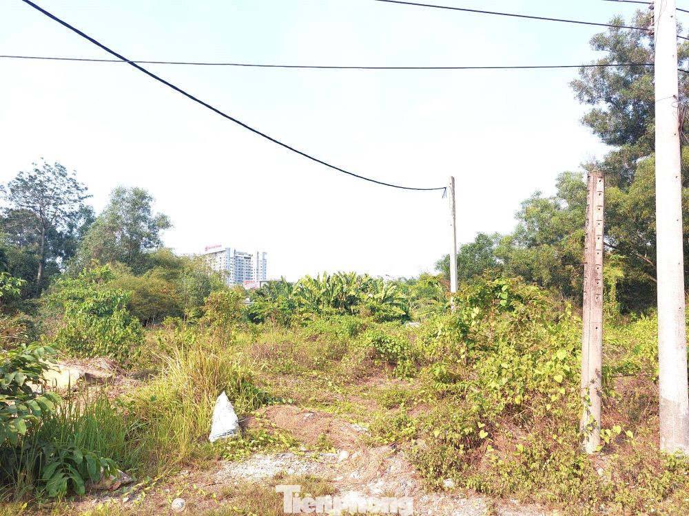 Bố trí quỹ đất ở vị trí đắc địa, tỉnh Bình Dương kỳ vọng Dự án Khu dân cư Thế kỷ 21 làm thay đổi bộ mặt đô thị văn minh, hiện đại của TP. Thủ Dầu Một. Tuy nhiên, trong quá trình triển khai dự án, phát sinh các vấn đề về pháp lý, giải tỏa đền bù… dẫn đến chủ đầu tư chưa thể thực hiện theo kế hoạch.