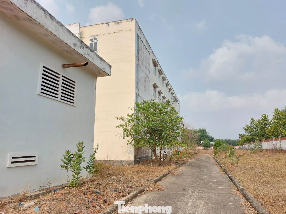 Hoang hóa bên trong dự án bệnh viện 250 tỷ đồng