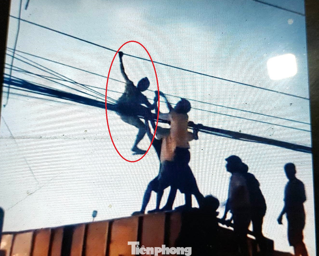 Người dân giải cứu thành công "diễn viên xiếc". Người dân giải cứu thành công "diễn viên xiếc".